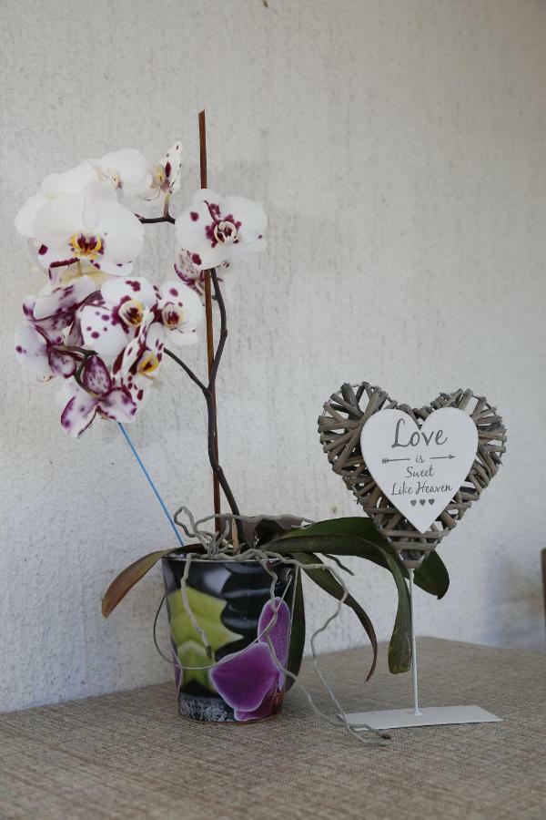 Apartment Leonora Vodice Buitenkant foto